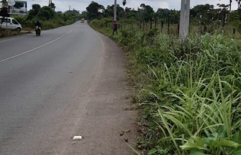 Quinta de 1 Hectárea Vía Calacalí – La Independencia