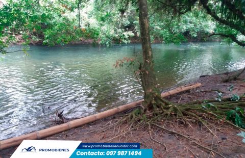 Finca 8 hectáreas en Pedro Vicente Maldonado